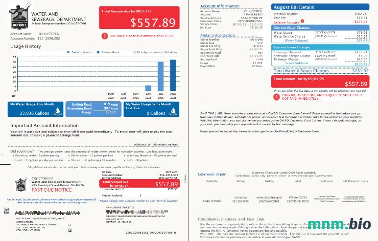 USA Detroit Water and Sewerage Department rachunek za media szablon w formacie Word i PDF, 2 strony, Wersja 3